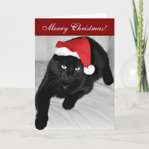 Weihnachtskatze 4 feiertagskarte