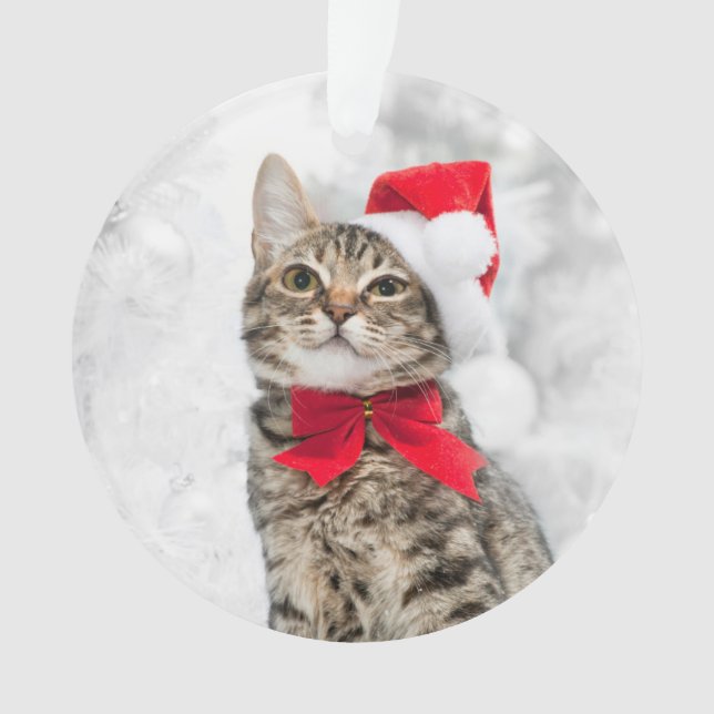 Weihnachtskatze an roter Sankt Hut nahe Ornament (Vorderseite)