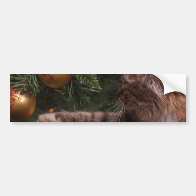 Weihnachtskatze Autoaufkleber (Vorne)