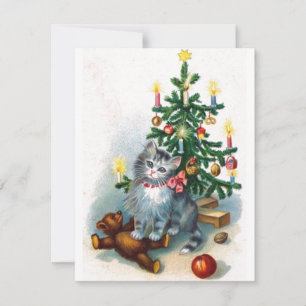 Weihnachtskatze Feiertagskarte