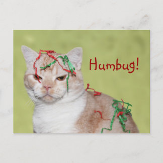 Weihnachtskatze Feiertagspostkarte