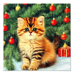 Weihnachtskatze Fotodruck