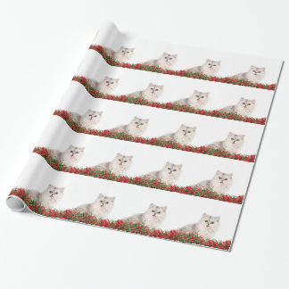 Weihnachtskatze Geschenkpapier