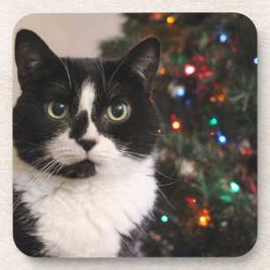 Weihnachtskatze Getränkeuntersetzer