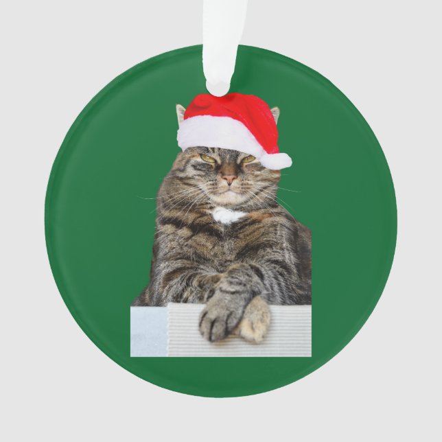Weihnachtskatze Humbug Foto Circle Ornament (Vorderseite)