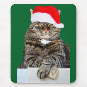 Weihnachtskatze-Humbug-Foto mit Santa-Hut Mousepad