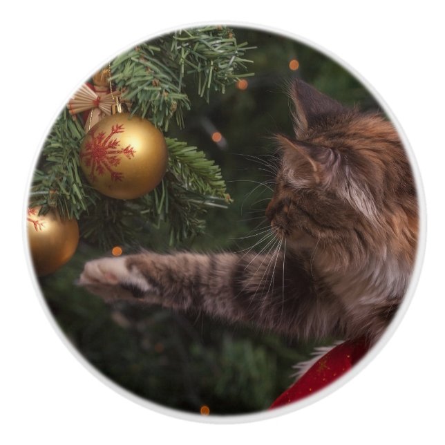 Weihnachtskatze Keramikknauf (Vorderseite)