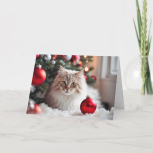 Weihnachtskatze mit rotem Ornament Feiertagskarte