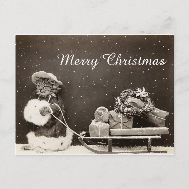 Weihnachtskatze mit Schlitten und Kranz Feiertagspostkarte (Vorderseite)