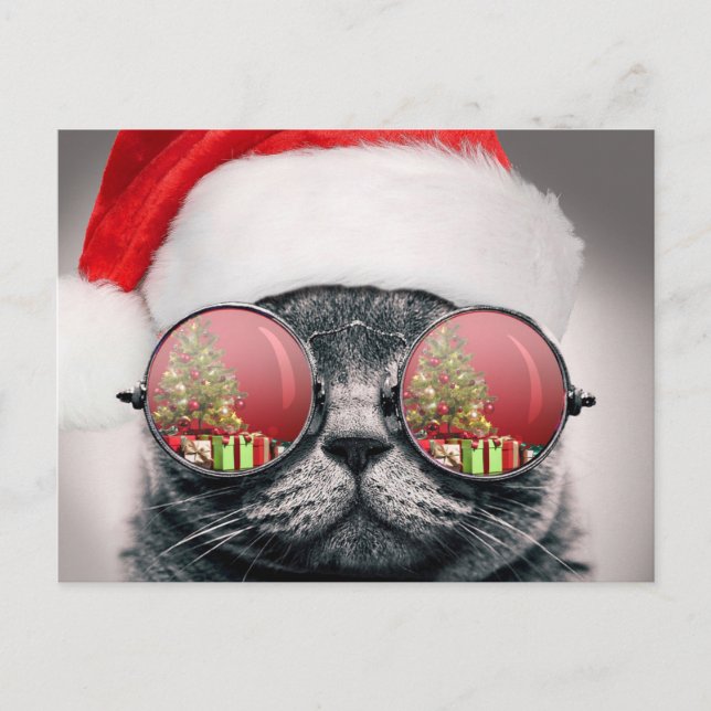 Weihnachtskatze mit Sonnenbrille Postkarte (Vorderseite)