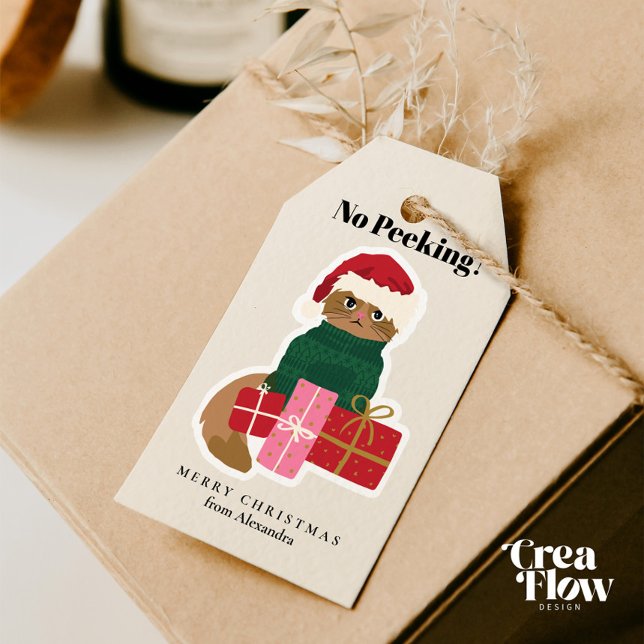 Weihnachtskatze personalisieren Geschenktag Geschenkanhänger (Adorable Personalized Holiday Gift Tags featuring a Grumpy Cat in a Green Christmas Sweater )