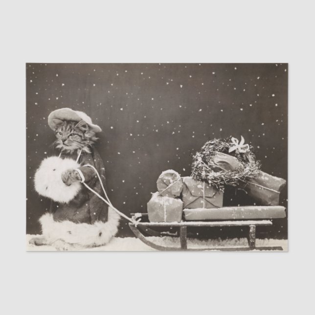 Weihnachtskatze Pulling a Sled of Presents Seidenpapier (Vorderseite)