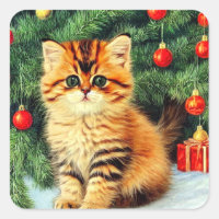 Weihnachtskatze