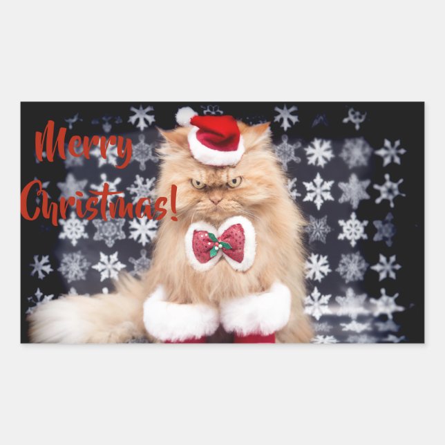 Weihnachtskatze Rechteckiger Aufkleber (Vorderseite)