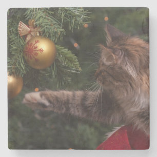 Weihnachtskatze Steinuntersetzer