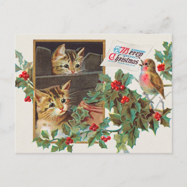 Weihnachtskatze und Holly Berry Postkarte (Vorderseite)