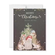 Weihnachtskatze und Hunde Niedliche Weihnachtskart
