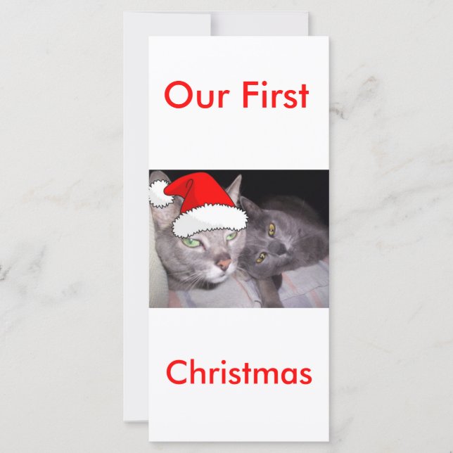 Weihnachtskatzen (Vorderseite)