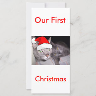Weihnachtskatzen
