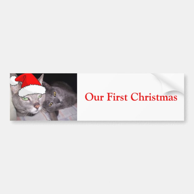 Weihnachtskatzen Autoaufkleber (Vorne)