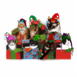 Weihnachtskatzen Freistehende Fotoskulptur<br><div class="desc">Sieben Katzen mit Elfhüten!</div>