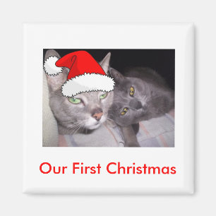 Weihnachtskatzen Magnet