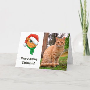 Weihnachtskatzenfoto Feiertagskarte