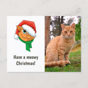 Weihnachtskatzenfoto Feiertagspostkarte