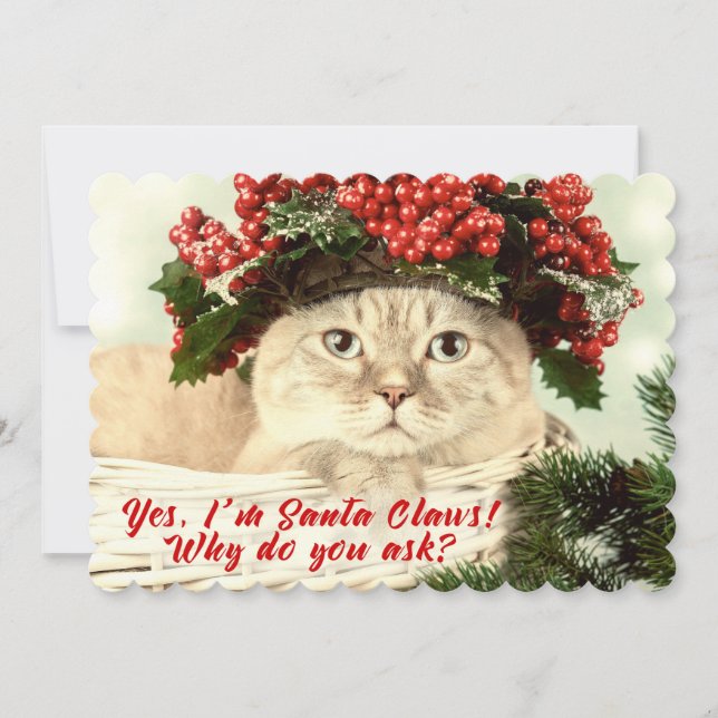 Weihnachtskatzenjacke - Zwei Side Card Feiertagskarte (Vorderseite)