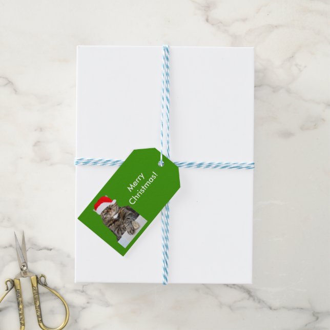 Weihnachtskatzenjammer Foto in Weihnachtsmannmütze Geschenkanhänger (Mit Garn)