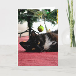 Weihnachtskatzenkarte Feiertagskarte