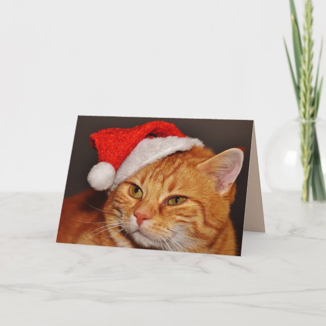 Weihnachtskatzenkarte Karte (Vorderseite)