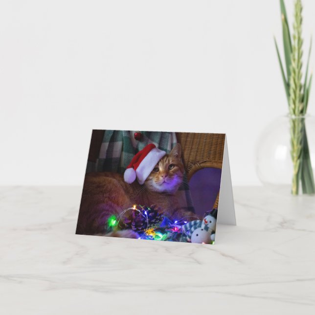 Weihnachtskatzenleder-Grußkarte Dankeskarte (Vorderseite)