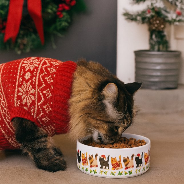 Weihnachtskatzentrio mit Stechpalmenpfad Napf (Capture the spirit of the season where pets are part of the celebration.)