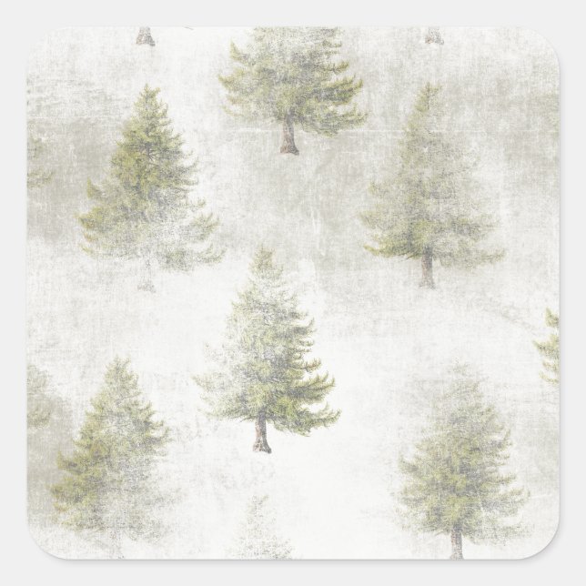 Weihnachtskiefer Grunge Schneeuntergrund Quadratischer Aufkleber (Vorderseite)