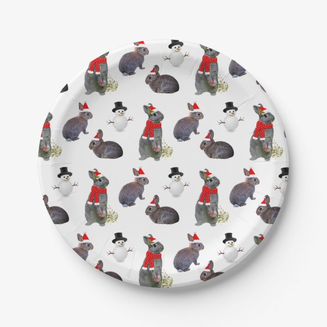 Weihnachtskits Party Papierplatte Pappteller (Vorderseite)