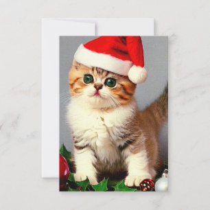 Weihnachtskitten in Weihnachtsmannmütze Dankeskarte