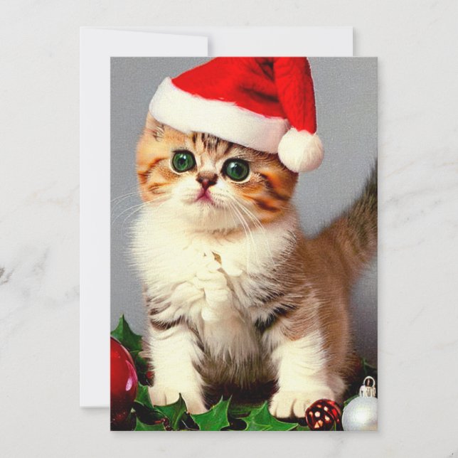 Weihnachtskitten in Weihnachtsmannmütze Feiertagskarte (Vorderseite)