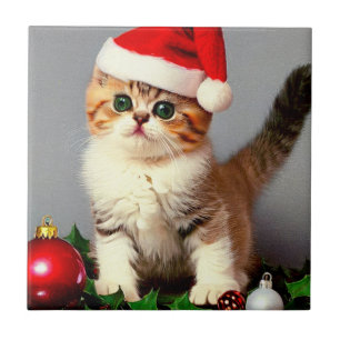 Weihnachtskitten in Weihnachtsmannmütze Fliese