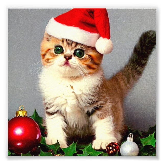Weihnachtskitten in Weihnachtsmannmütze Fotodruck (Vorne)