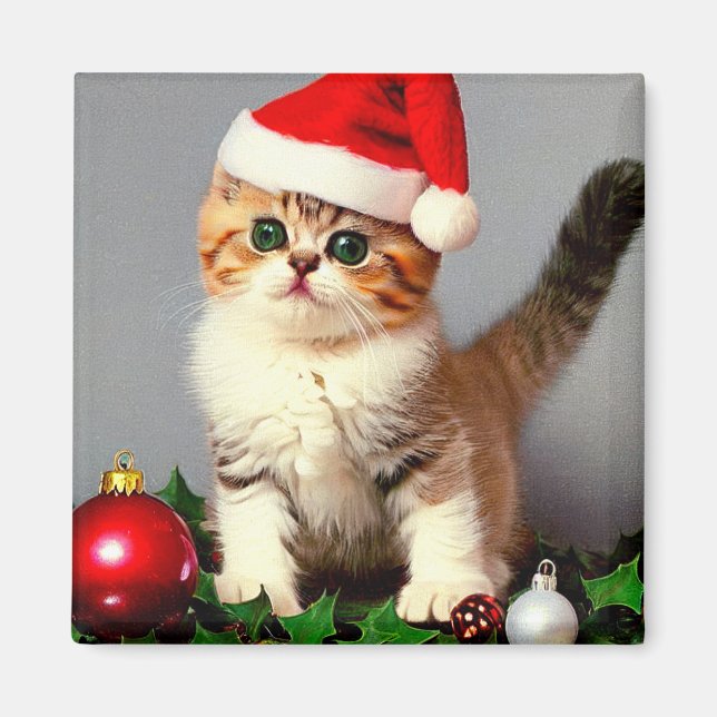 Weihnachtskitten in Weihnachtsmannmütze Magnet (Vorne)