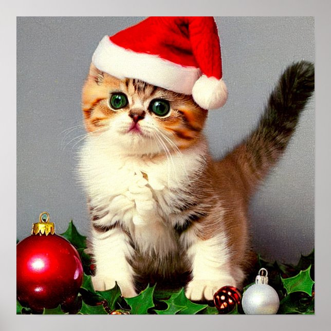 Weihnachtskitten in Weihnachtsmannmütze Poster (Vorne)