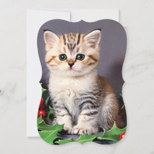 Weihnachtskitten und Holly Card
