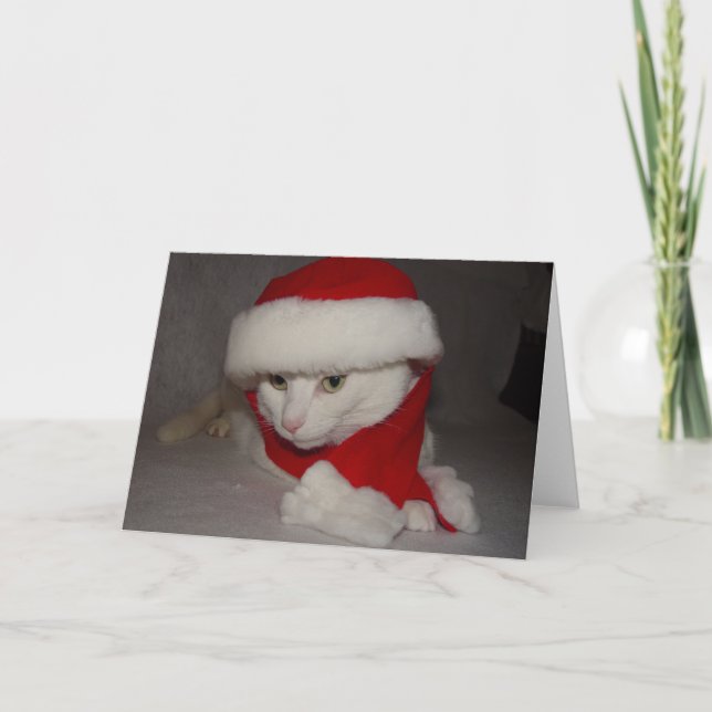 Weihnachtskitty Feiertagskarte (Vorderseite)