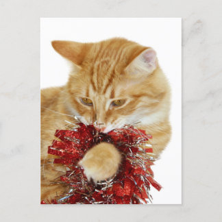 Weihnachtskitty Feiertagspostkarte