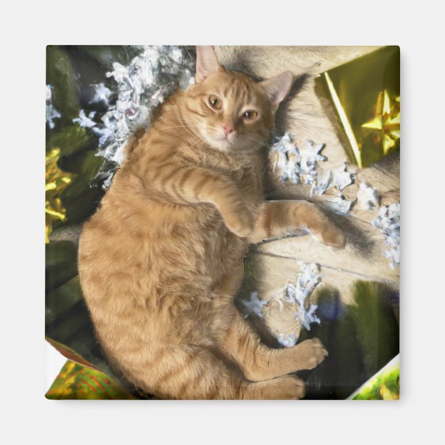 Weihnachtskitty Magnet (Vorne)