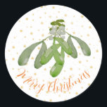 Weihnachtskleber Original Wasserfarbe Mistletoe Runder Aufkleber<br><div class="desc">Delikate Original Watercolor Mistletoe Weihnachtskleber. Alle Cucumelon Creation Designs sind urheberrechtlich geschützt.</div>