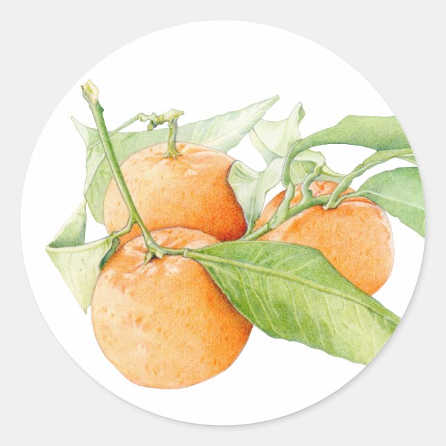 Weihnachtsklementsticker Runder Aufkleber (Vorderseite)