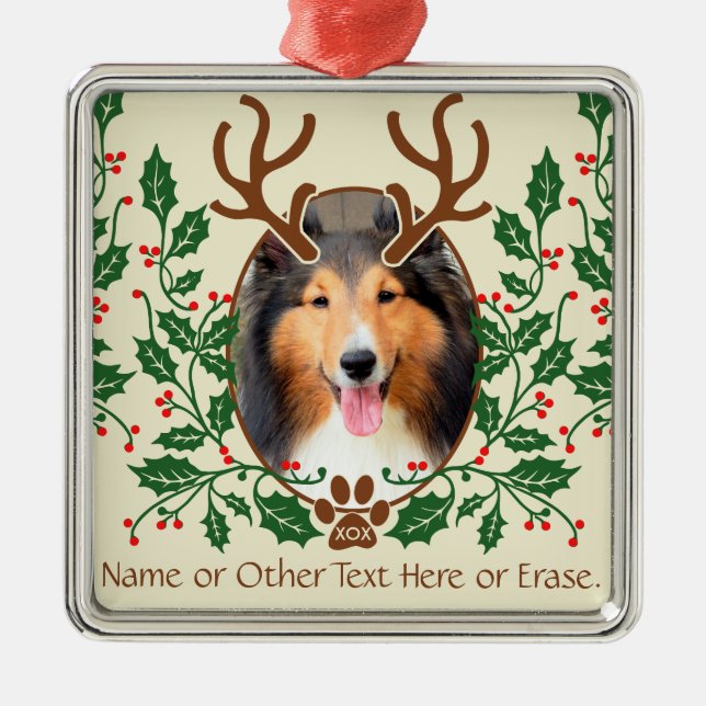 Weihnachtsklingeln für Hunde / Katze Persönliches  Silbernes Ornament (Vorne)