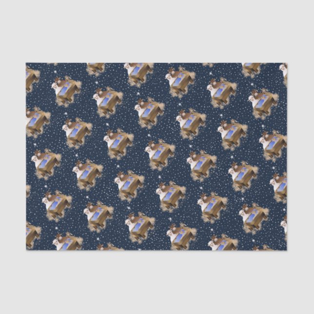 Weihnachtskrippe Jesus Seidenpapier (Vorderseite)